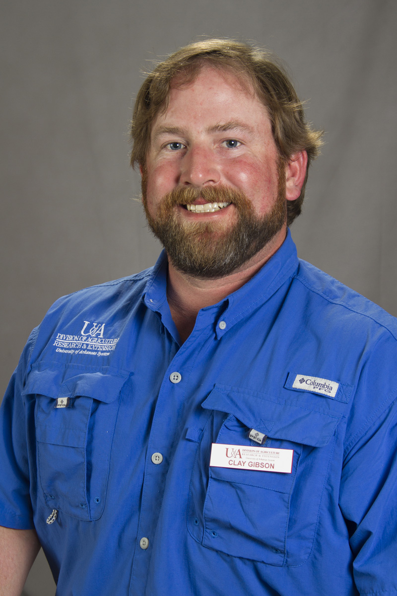 Clay Dewoody Gibson